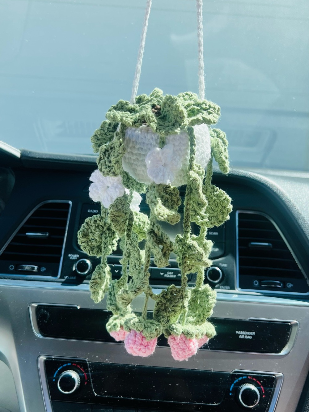 Handmade Crochet Hanging Plant Décor in Light Green and White